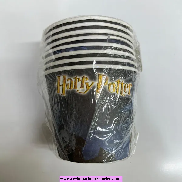 Harry Potter Temalı Karton Bardak